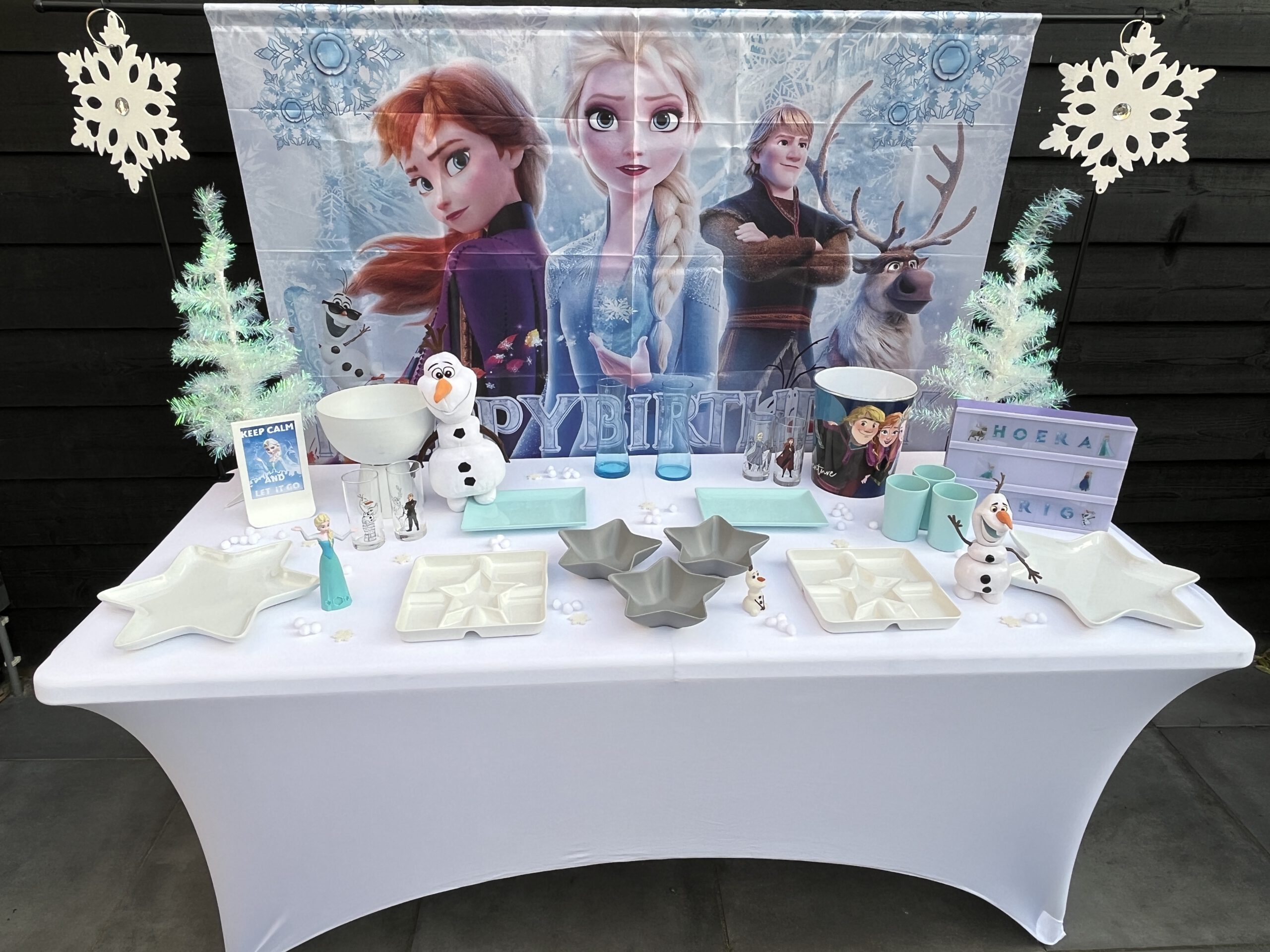 Frozen leeg - overzicht